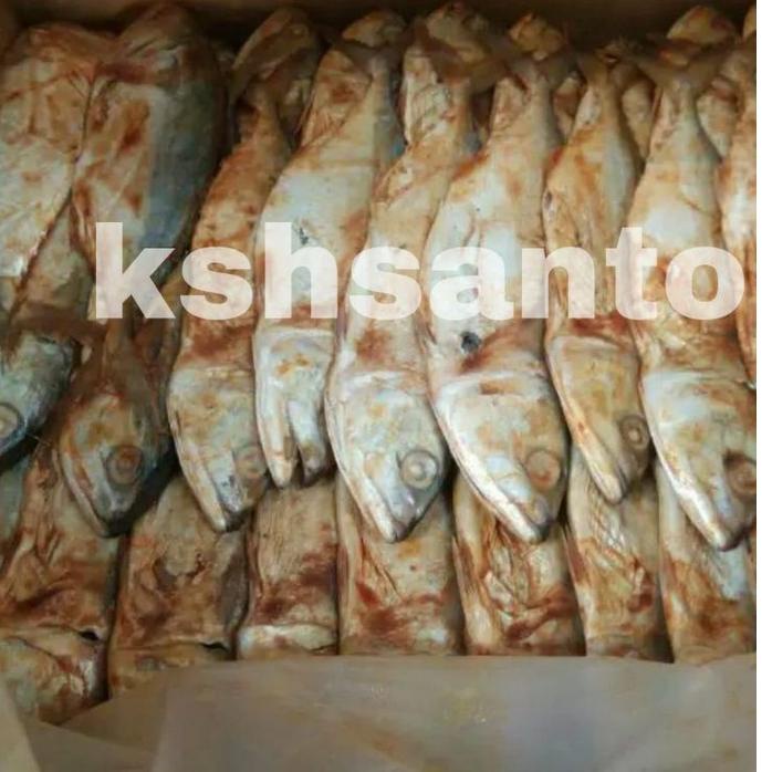 

Promo Spesial Ikan asin peda merah-500gram °•.¸¸.•°`