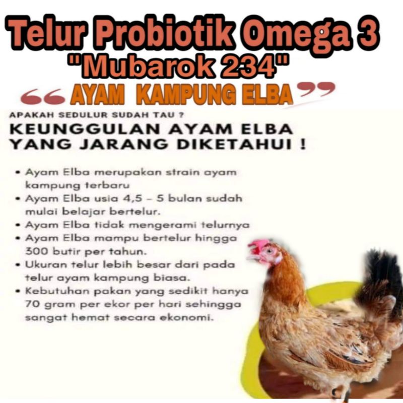 Telur fertil Elba KUB