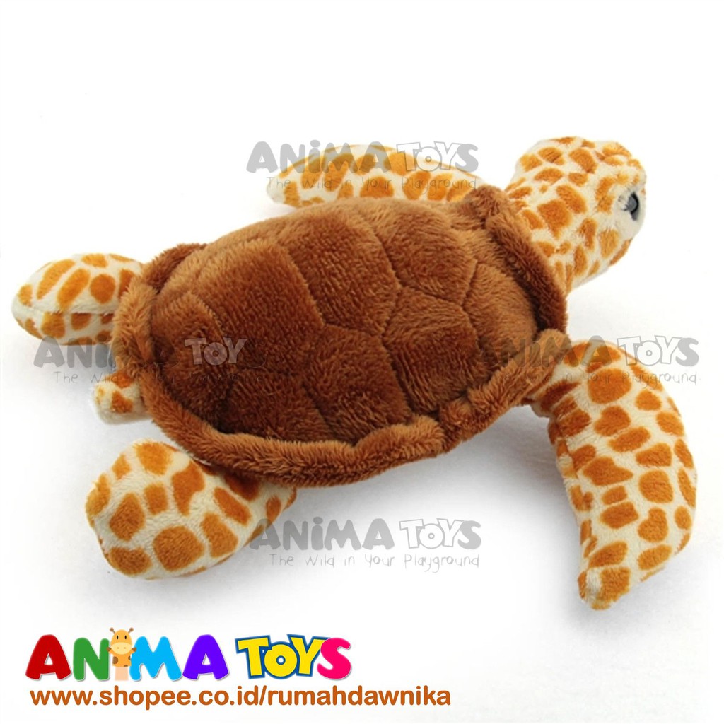 72 Koleksi Gambar Hewan Penyu Tempayan Terbaik