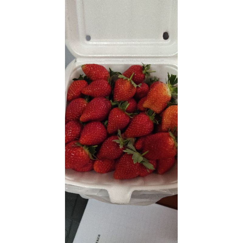 

strawberry ciwidey (500 g)