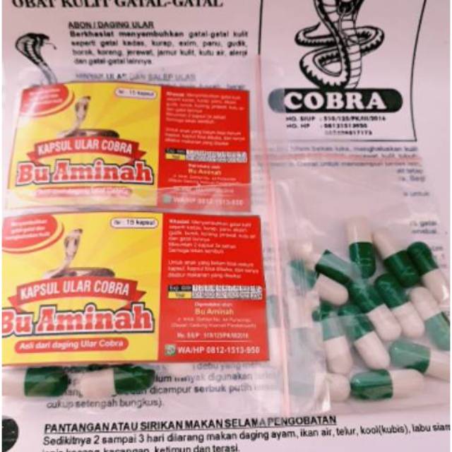 KAPSUL ULAR  COBRA ASLI OBAT  PENYAKIT  KULIT Shopee Indonesia