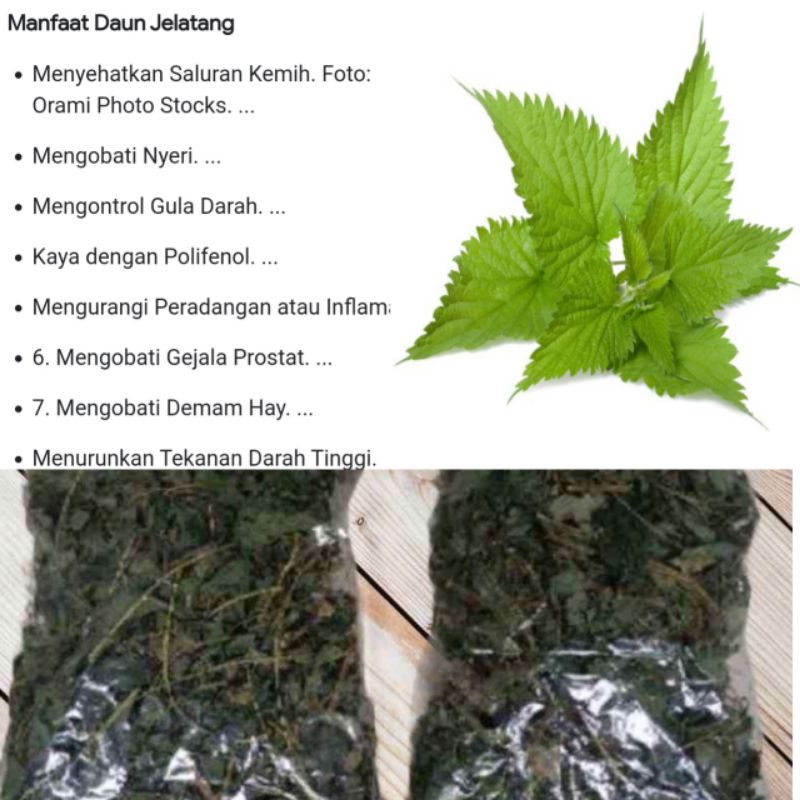 

Daun jelatang kering 100 gram original