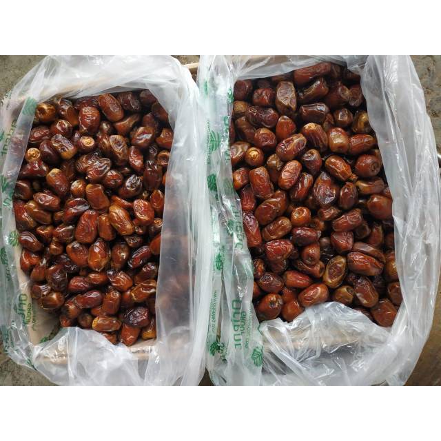 

Kurma madu kurma mesir ukuran 10kg