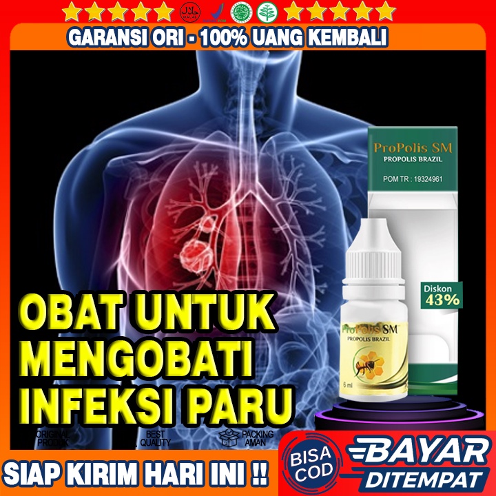 Obat Infeksi Paru Paru, Asma, Flek Paru Paru, Kanker Paru Paru, Pneumonia, Radang Paru Paru