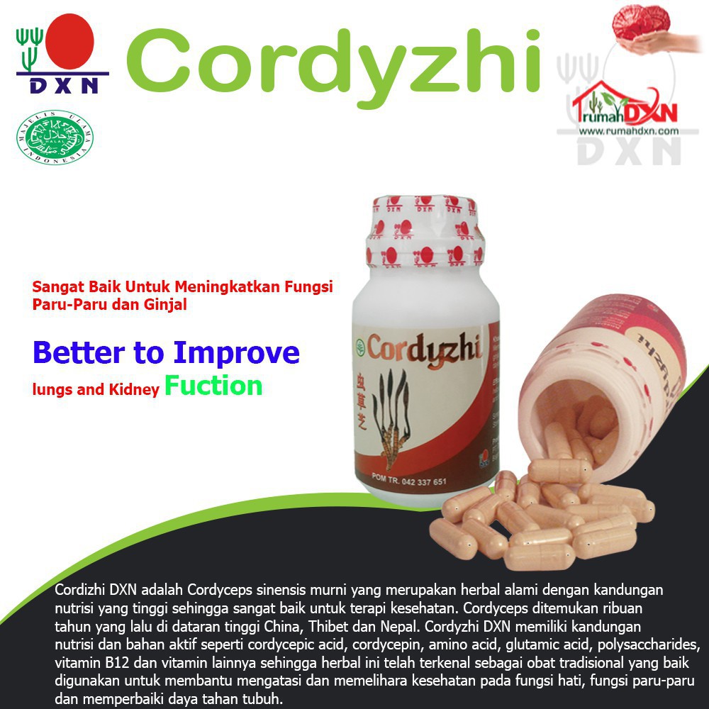 DXN Daxen Daehsan CORDYZHI 90