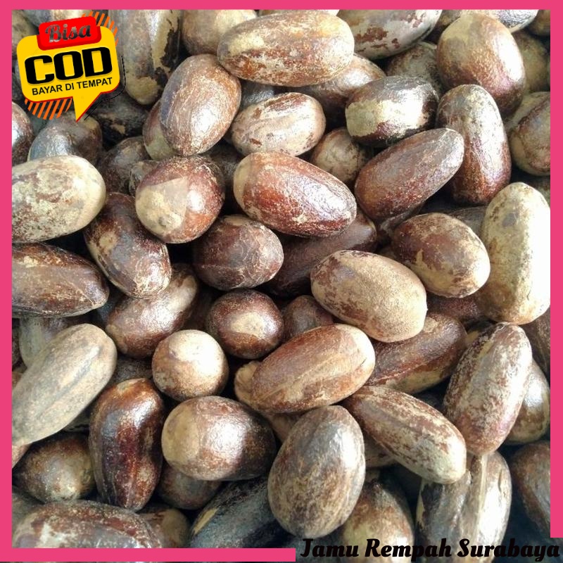 

Biji Pala Lonjong 100gr Kualitas Bagus - Utuh Masih Ada Kulit