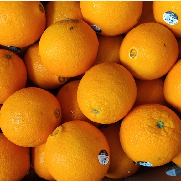 

Jeruk Navel Ausie [ 1 pack isi 3 buah ] Navel Sunkist