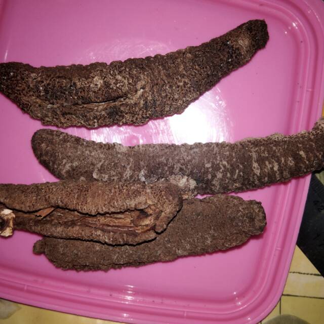 Tanpa ongkir 500g/Teripang Pasir hitam ukuran 8-16+cm