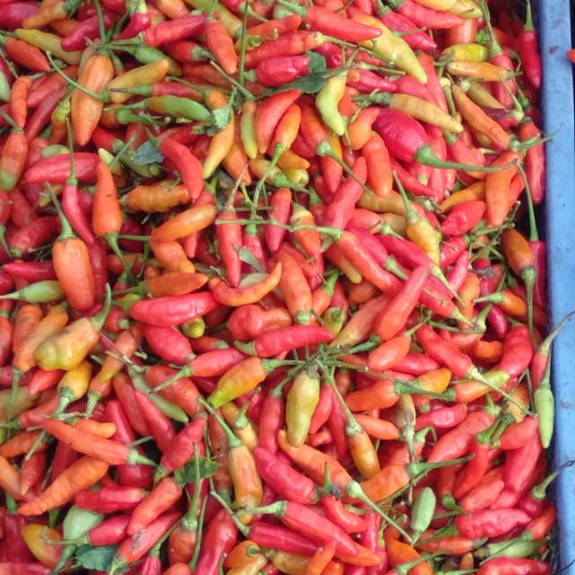 

Lombok Rawit 250 gram