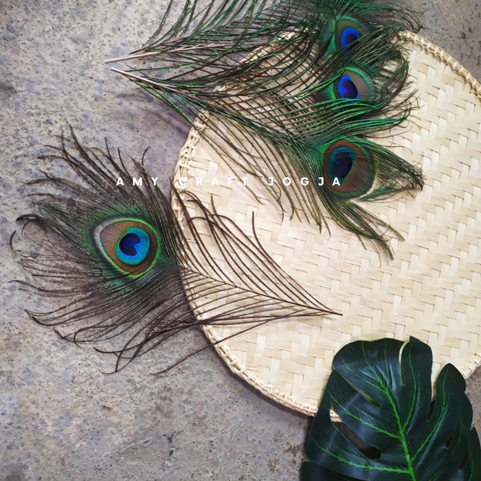 Bulu Hias Bulu Merak |Hias Imitasi Sintetis |Hiasan Kado |Dekorasi Bulu |Ornamen Bulu Merak