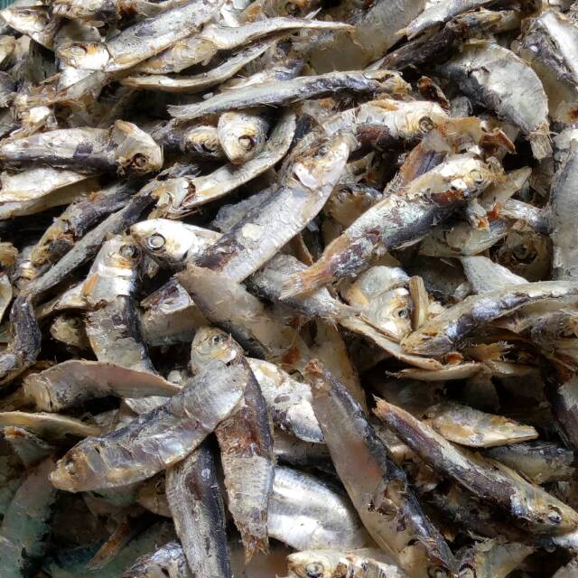 

Ikan Asin tembang