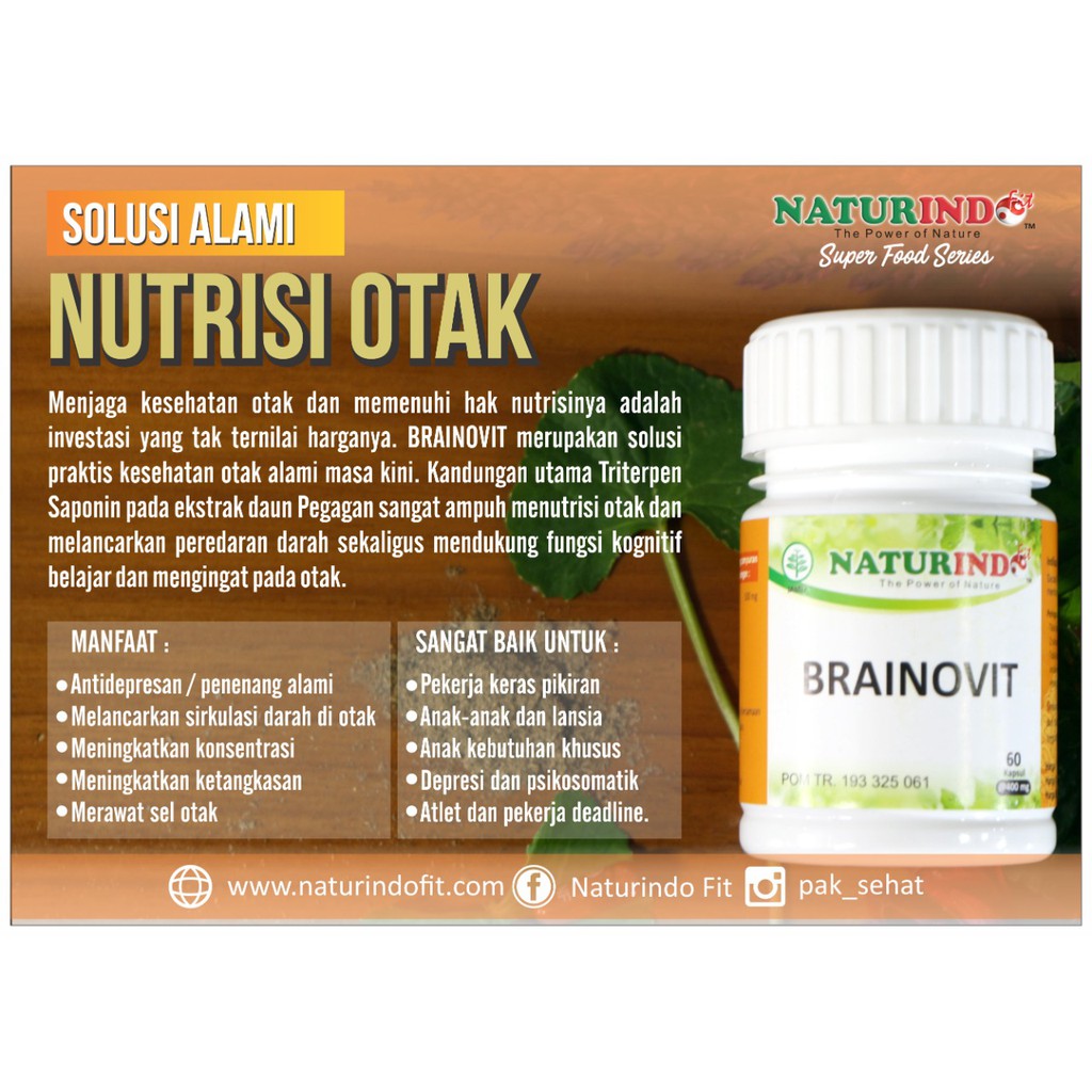 

Herbal Brainovit Naturindo