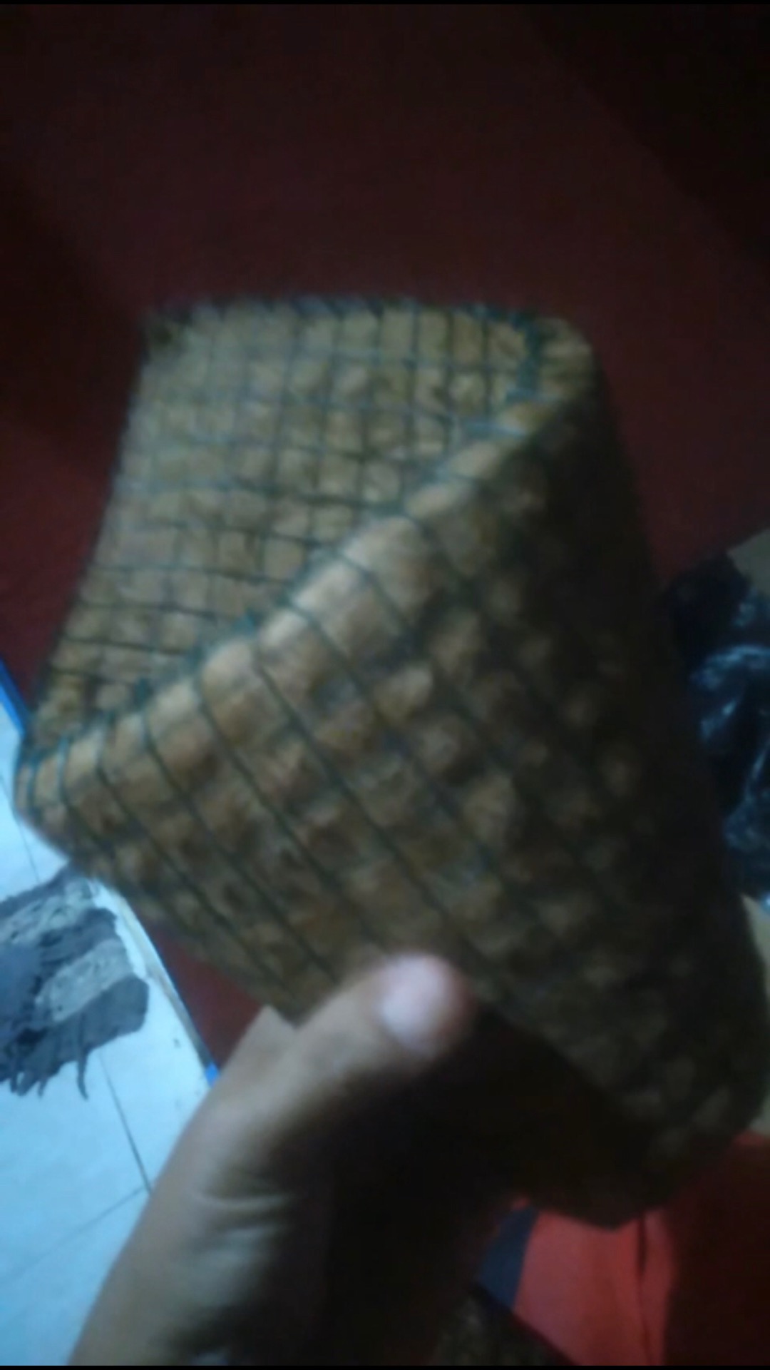 Pot Tempel Kerucut / Pot Sabut Kelapa / Pot Anggrek / Media Tanaman Anggrek