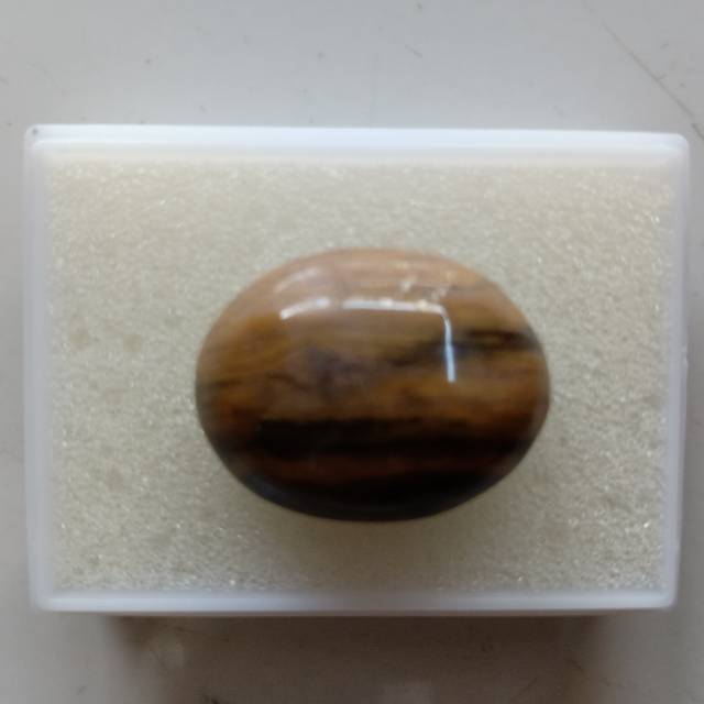 

BBS044 Brown Borneo Serat