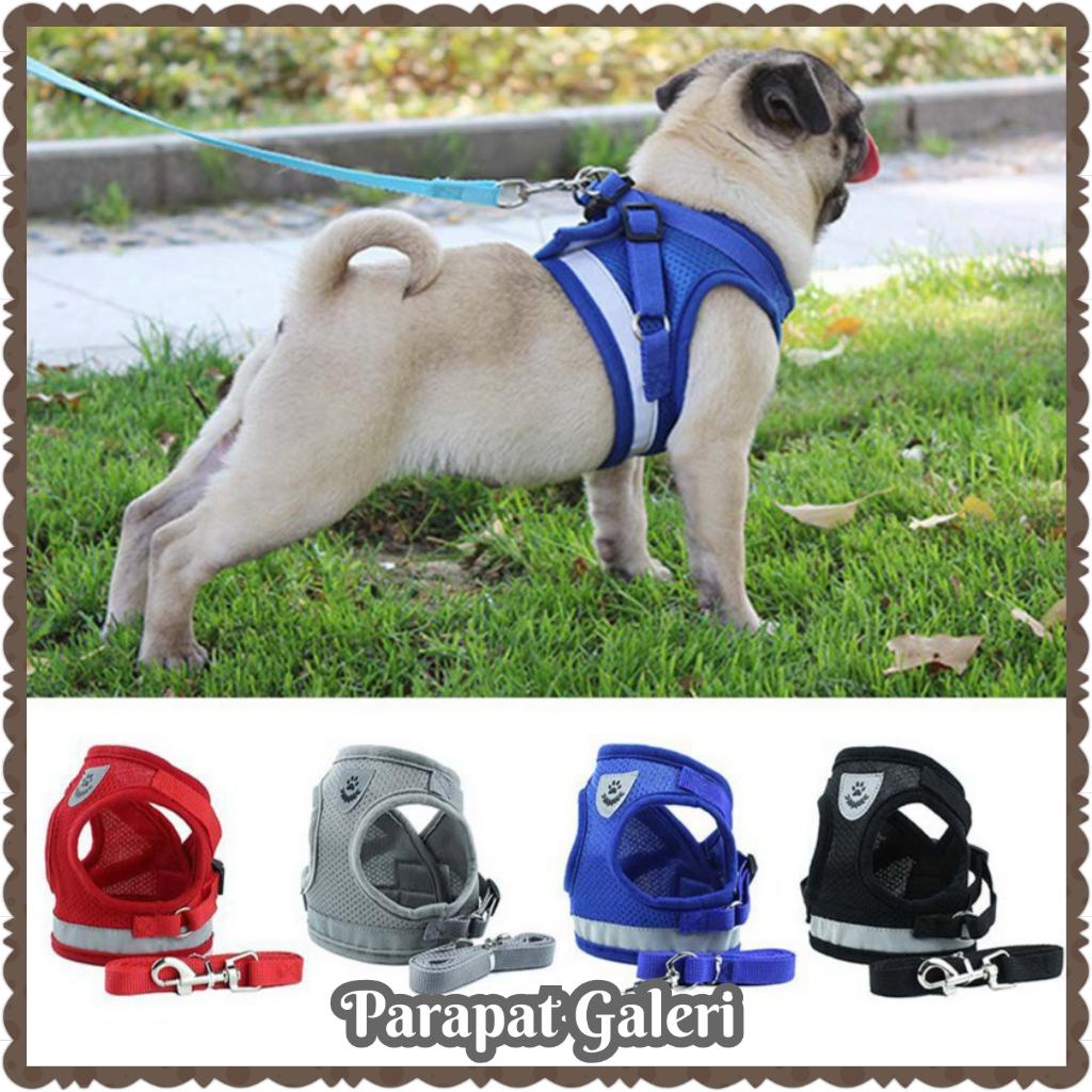 Tali Tuntun / Harness Anjing & Kucing Kwalitas Import