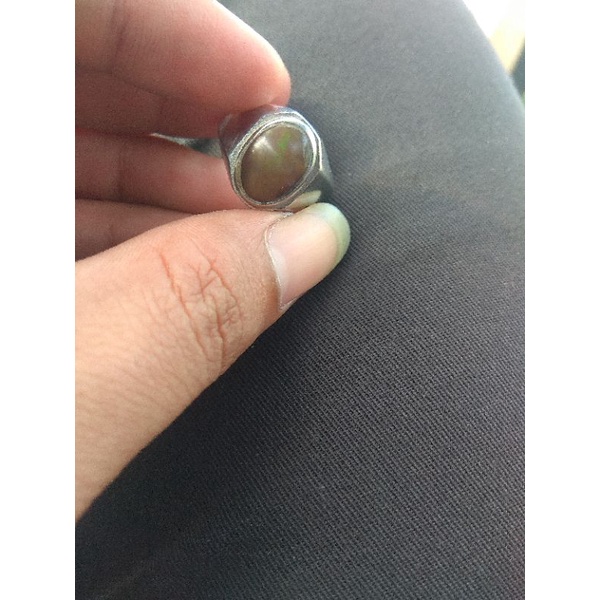 Kalimaya Bunglon abu Banten