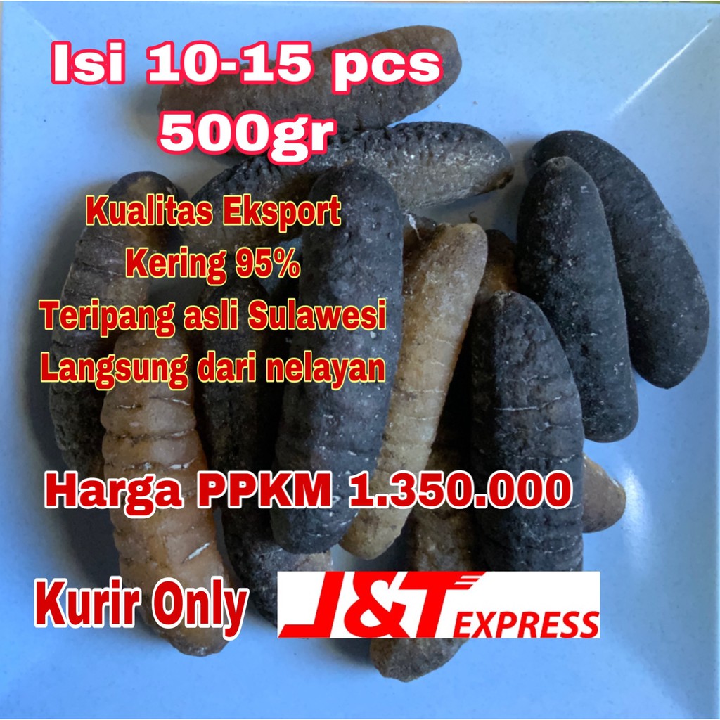 

Teripang gosok TERMURAH SE SHOPEE ISI 10-15pcs / 500gr haisom khas Sulawesi