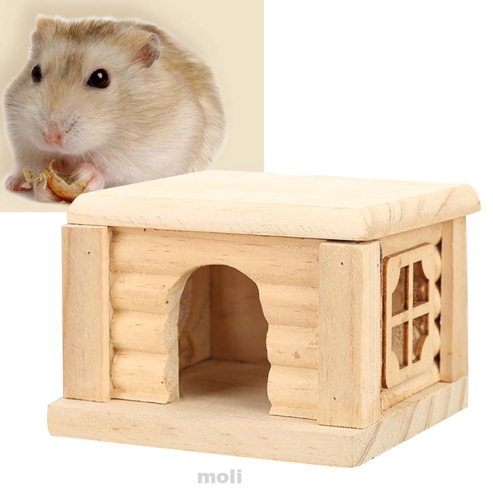 how to clean wooden hamster toys