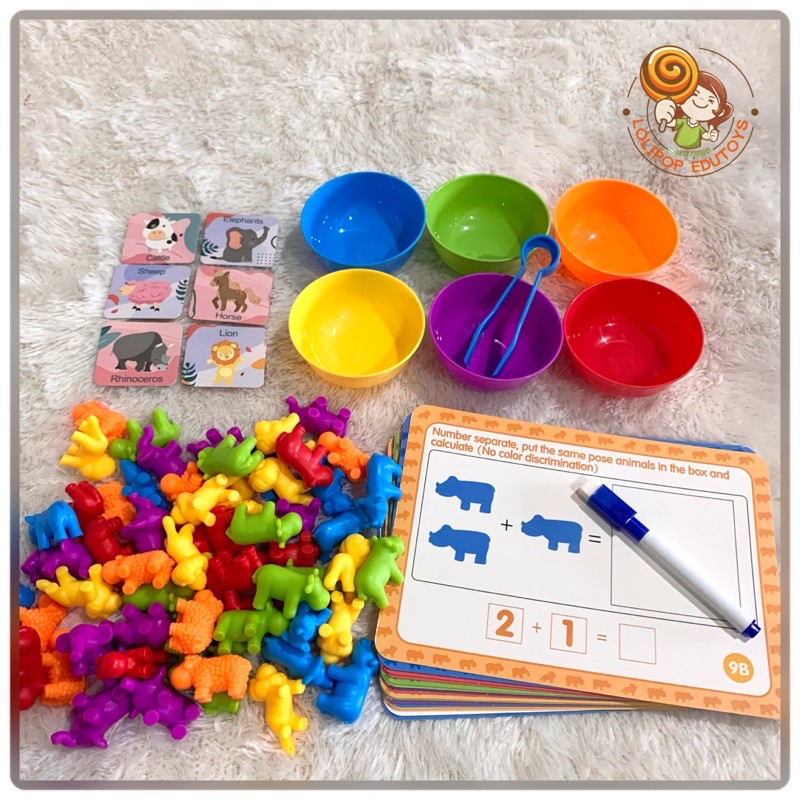 Education Cognition Card Montessori Sensory