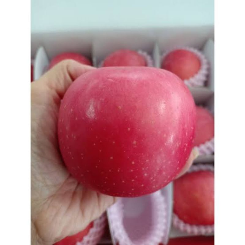 

Buah apel premium blush, fuji premium 1kg (3)