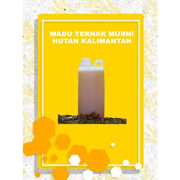 

Madu Ternak Murni Hutan Asli Kalimantan 800ML