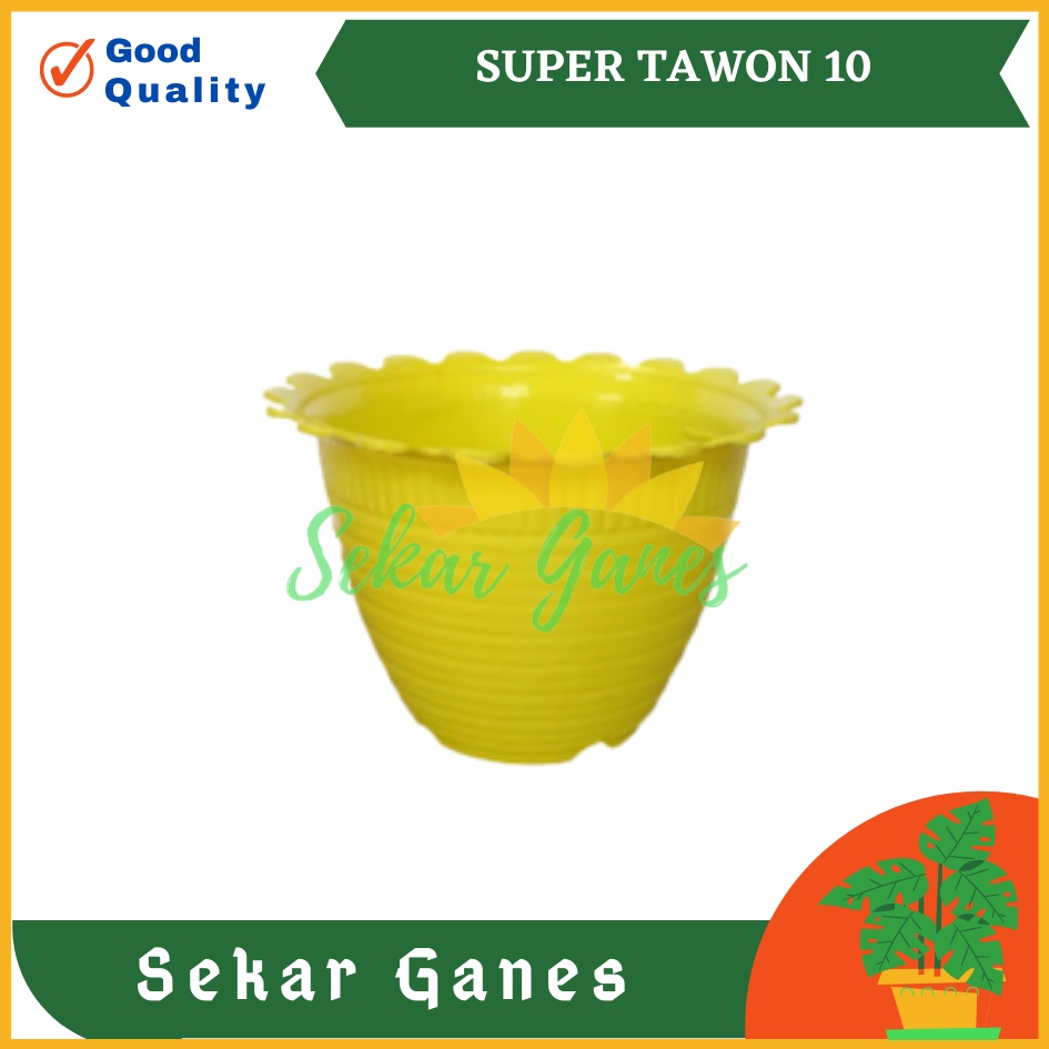 Pot Tawon Dahlia Super Tawon 10 Putih Kuning Orange Merah Pot Tawon Putih Pot Kaktus Mini Lucu Murah Pot Tawon 10 Tebal