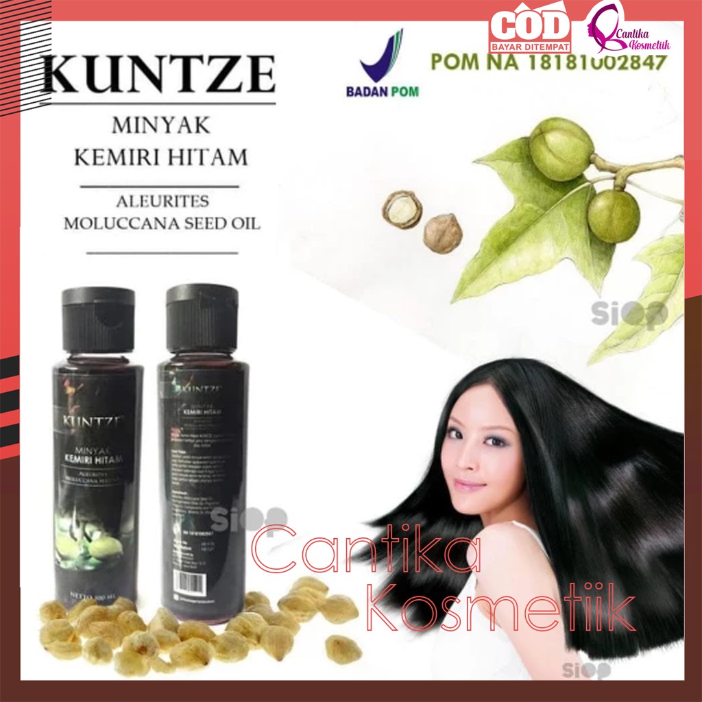 Minyak Kemiri Hitam Kuntze Asli 100 % Asli