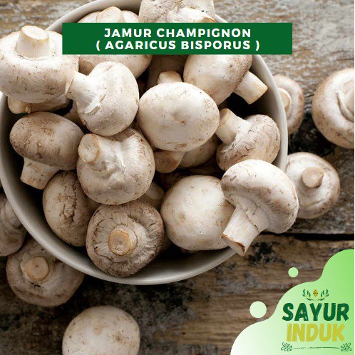 

Sayur Induk - Jamur Kancing Champignon 250 Gram Fresh Grade A Mushroom