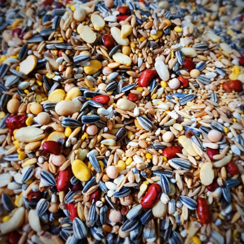 Mr.Kasacil - J&J Parrot Deluxe Mix 1Kg + Deluxe Mix Plus Pakan Burung Parrot Import