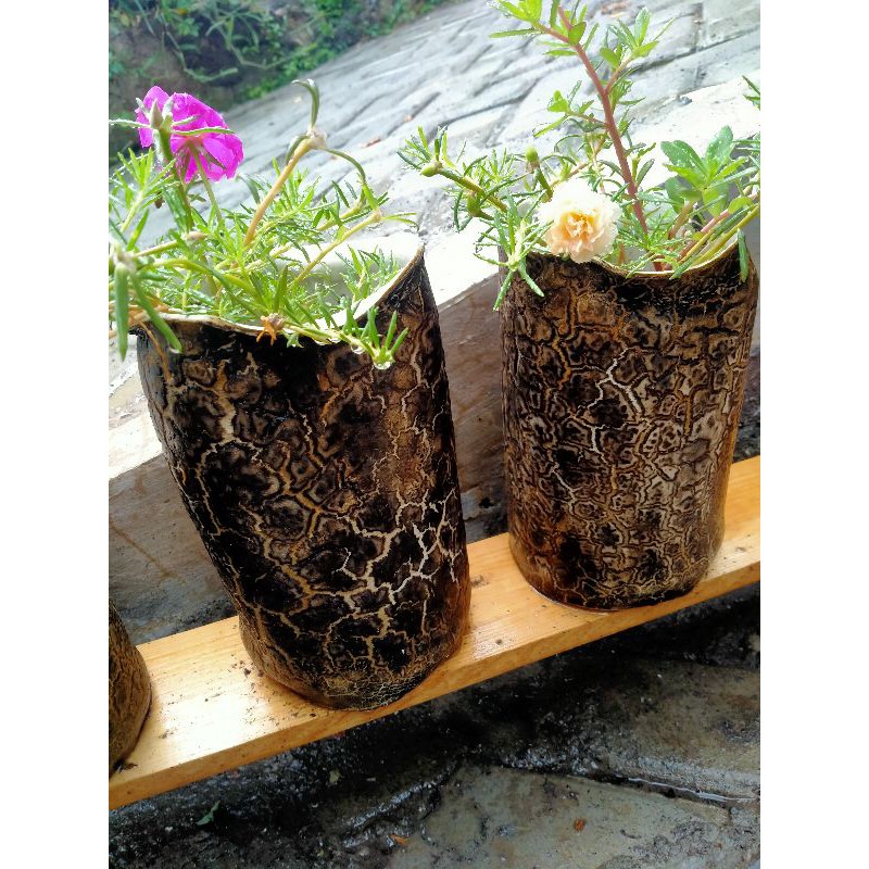 pot tanaman motif kayu