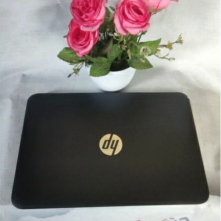 Netbook HP 12 Inc SSD 228 gb  terinstall windows 10