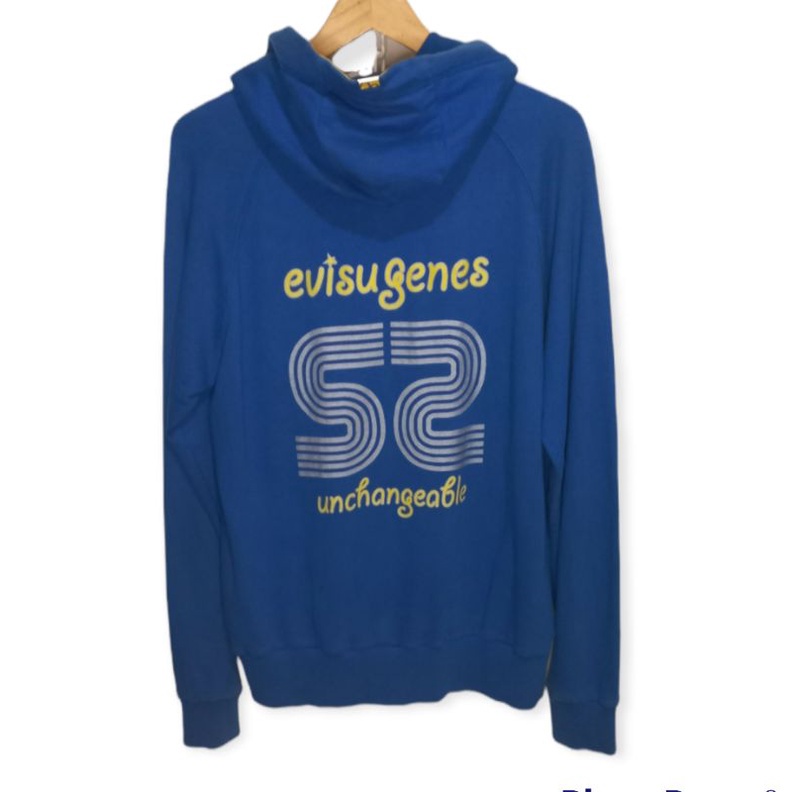 hoodie second EVISU