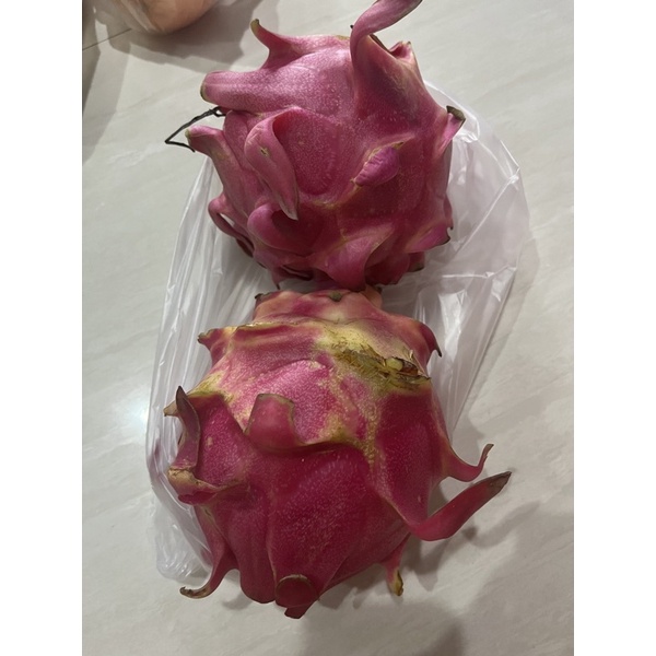 

Buah Naga merah per buah kisaran 500 gram