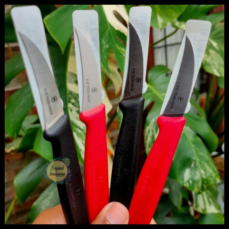 PISAU VICTORINOX ORIGINAL (PISAU POTONG TANAMAN/GRAFTING/OKULASI) KODE 1305