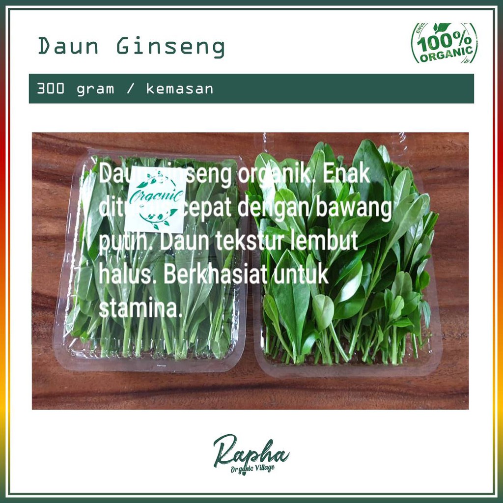 

Daun Ginseng Organik