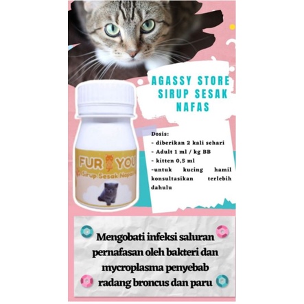 FurYou sirup sesak nafas kucing sesak nafas pada kucing