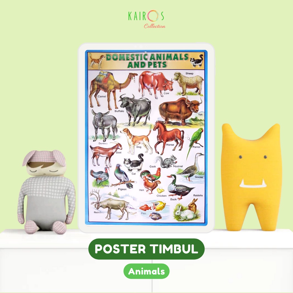 Paket 5 Poster Timbul Edukasi Anak Menenal Angka Huruf Buah Binatang Matematika