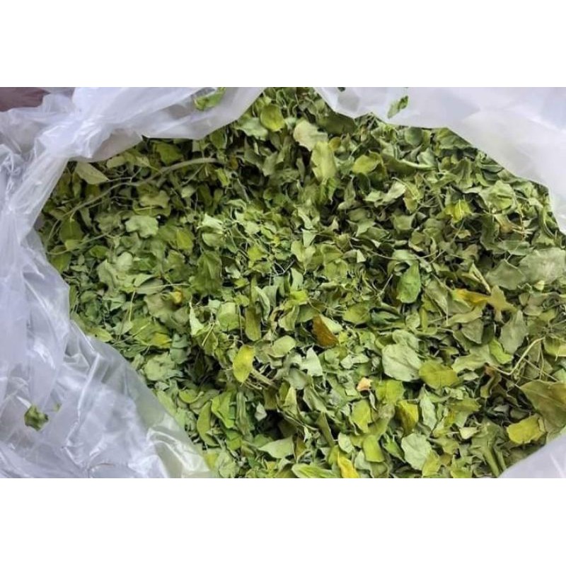 

Daun kelor kering 1 kg.