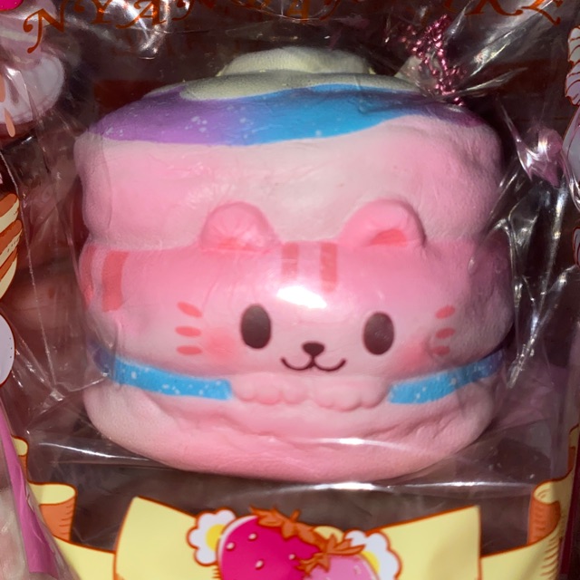 Nyan Pancake Galaxy Squishy by Ibloom