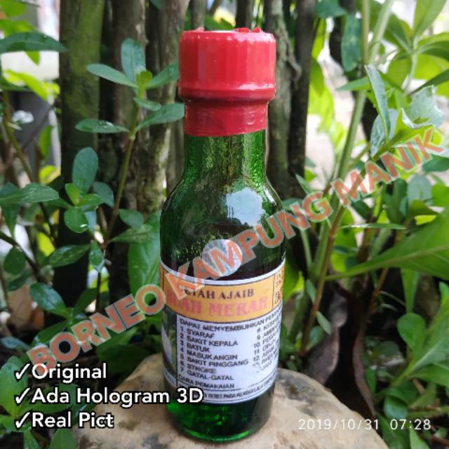 

Getah Ajaib Buah Merah Original