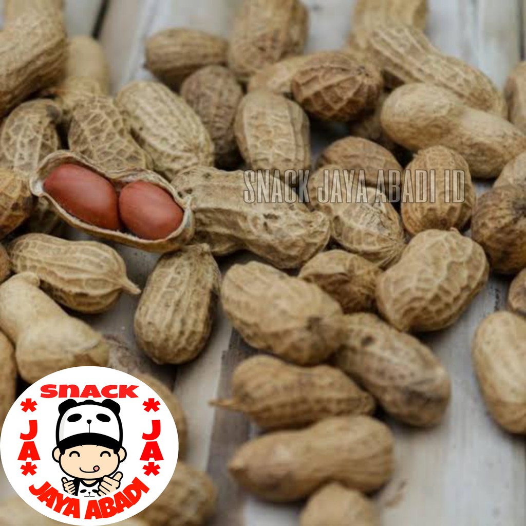 

1KG Kacang Kulit Panggang / Kacang Tanah Kulit Sangrai Kiloan