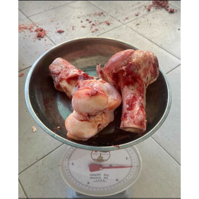 

Sum Sum tulang sapi,Halal MUI
