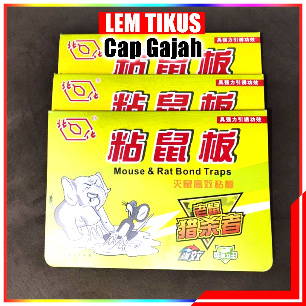 Lem Tikus Papan Cap Gajah Original / Perangkap Tikus Gajah Ampuh / Lem Tikus Super Lengket / Penghilang Tikus Di Rumah