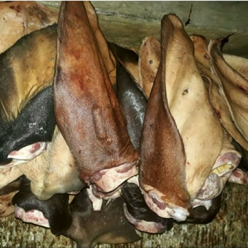 

kuping sapi kotor