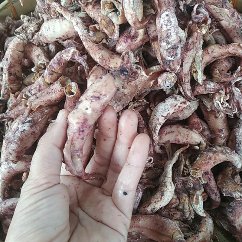 

Cumi Asin besar 100 gr
