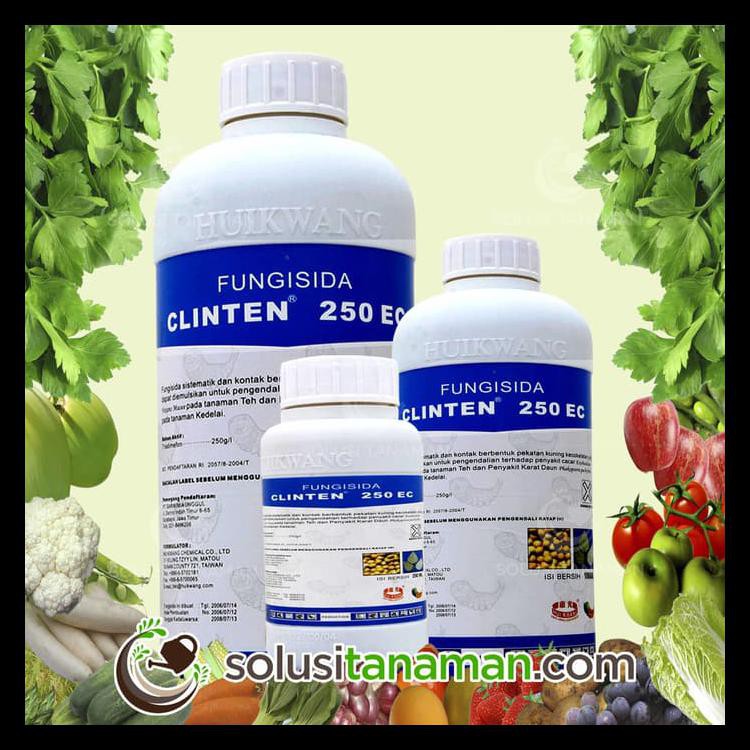 PESTISIDA CLINTEN @500ML OBAT FUNGISIDA PEMBASMI HAMA JAMUR TANAMAN