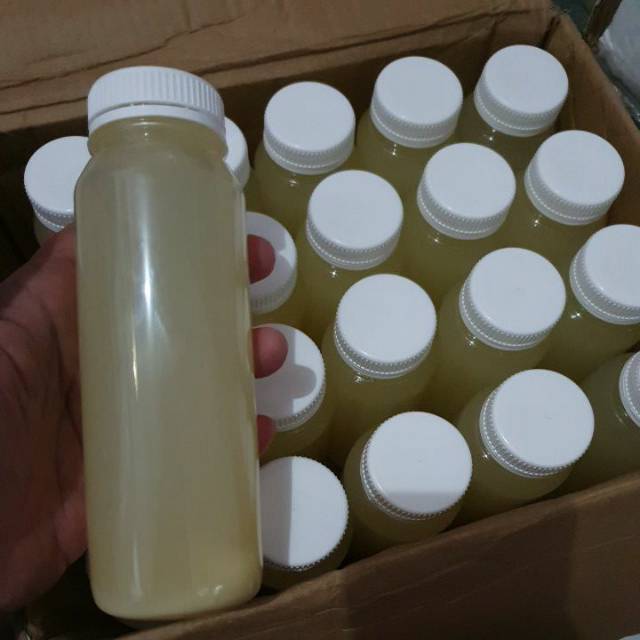 

Sari Lemon 250 ml tanpa stiker peluang usaha/ Minuman Diet Lemon Asli Fresh Murni Sarlem Jus