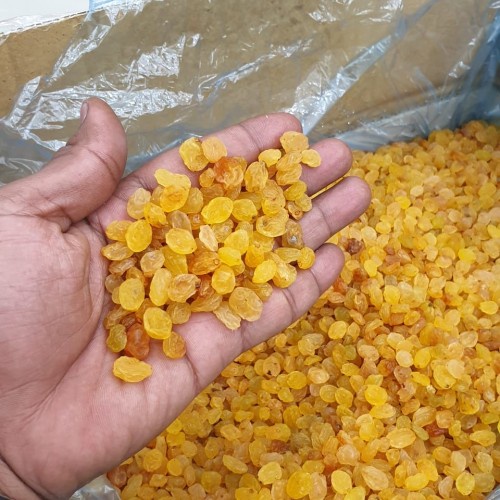 kismis manis kuning non biji/kismis simin kristal 1kg