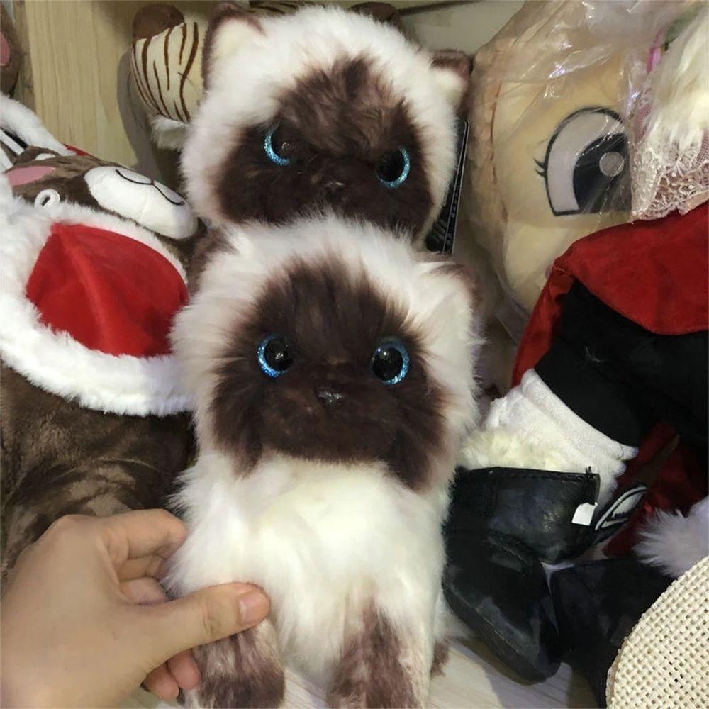 Quinton Cat Plush Toy Mainan Anak Dekorasi Rumah 20/26CM Sequin Mata Coklat Dan Putih Kucing Siam Boneka Binatang