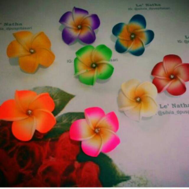 Bros Bunga Kamboja Oleh Oleh Bali Bros Bunga Jepun Natural Cantik Lenatha Shopee Indonesia